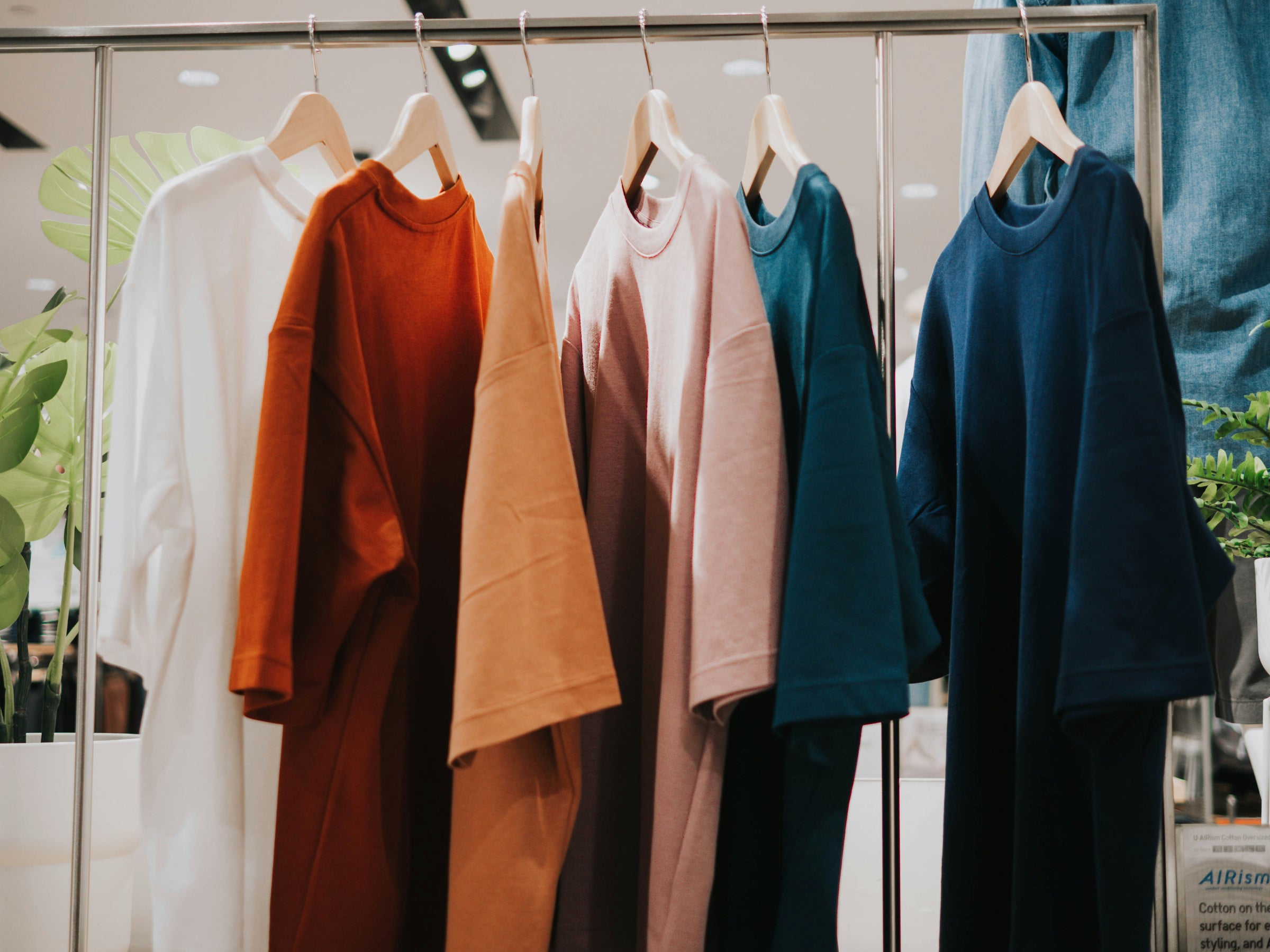 Several simple colored t-shirts hang on wooden hangers in a sparse clothing shop.