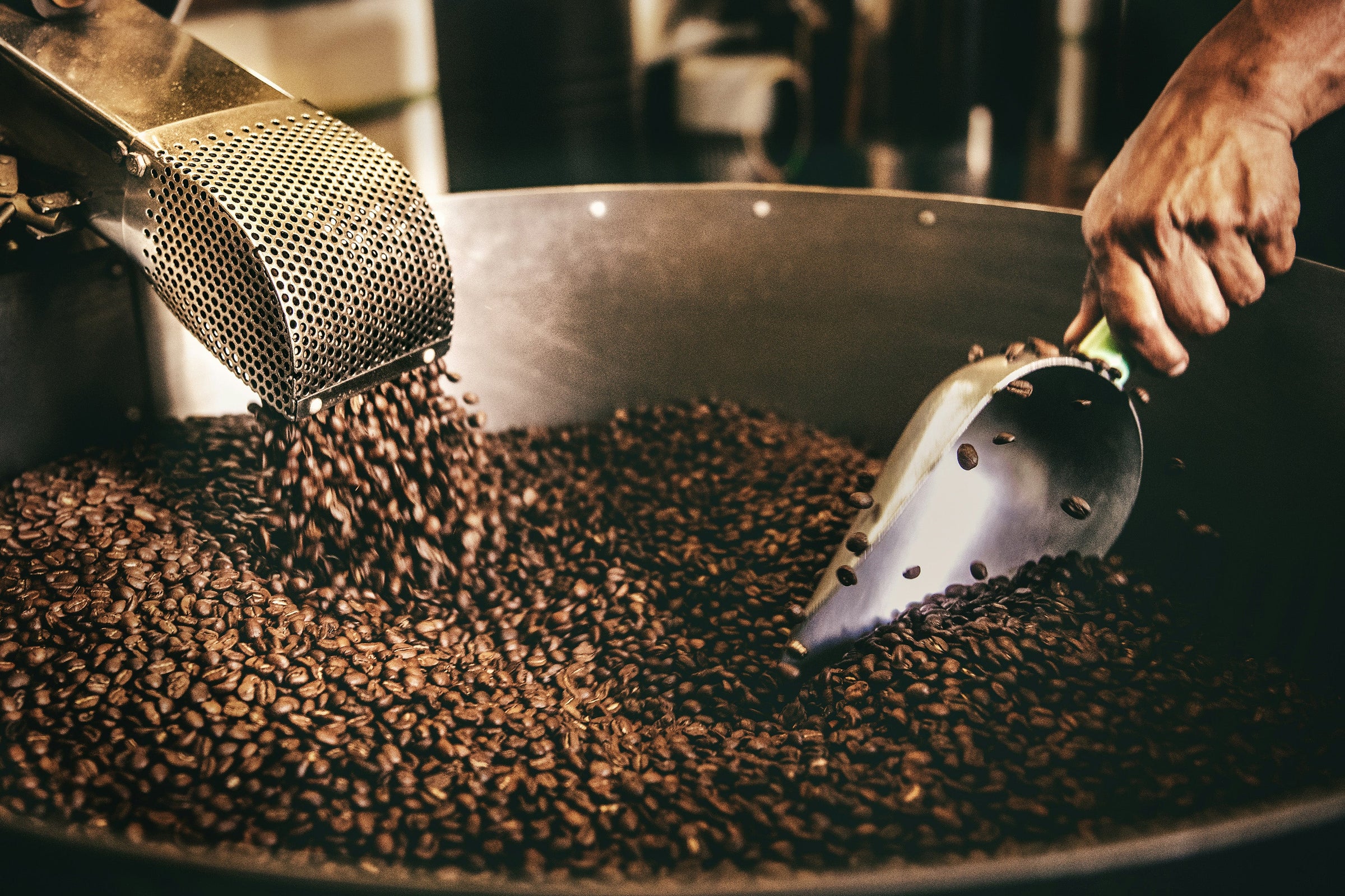 A male hand holds a large metal scoop into a large vat of freshly roasted coffee beans.