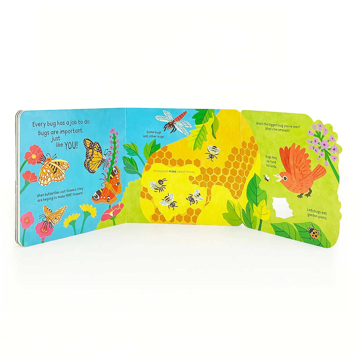 Little Wonders: Bugs   Interactive Board Book