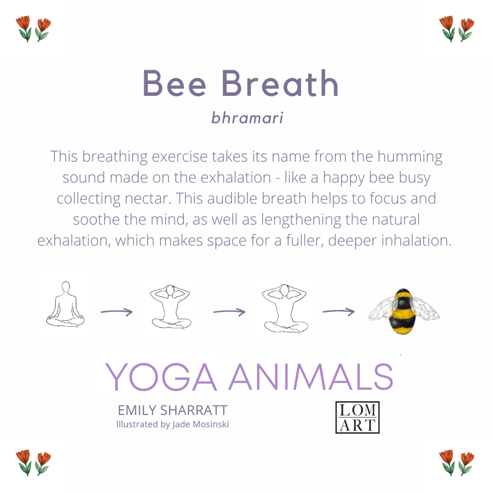 Yoga Animals Book