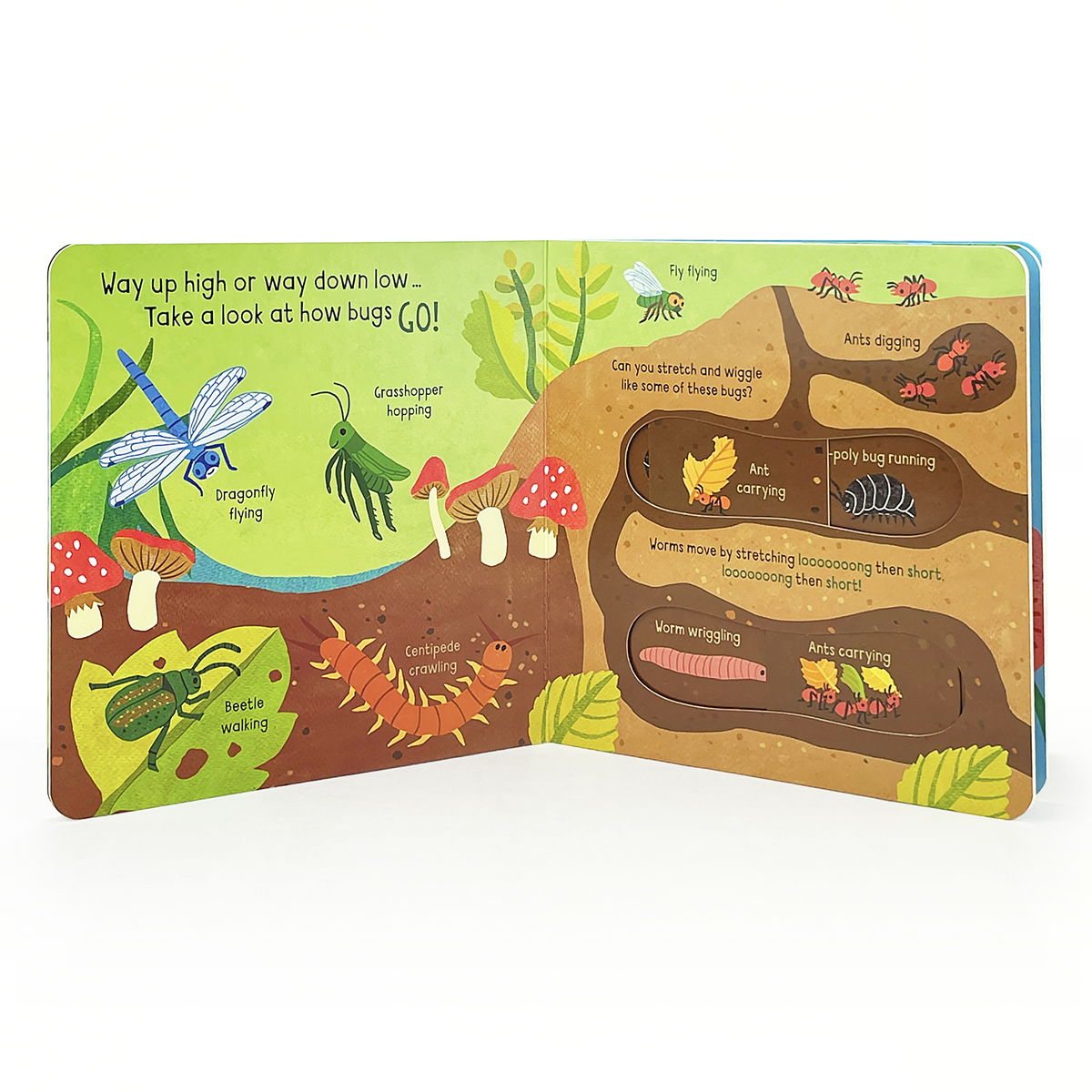 Little Wonders: Bugs   Interactive Board Book