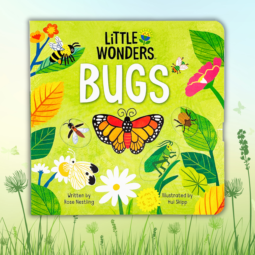 Little Wonders: Bugs   Interactive Board Book