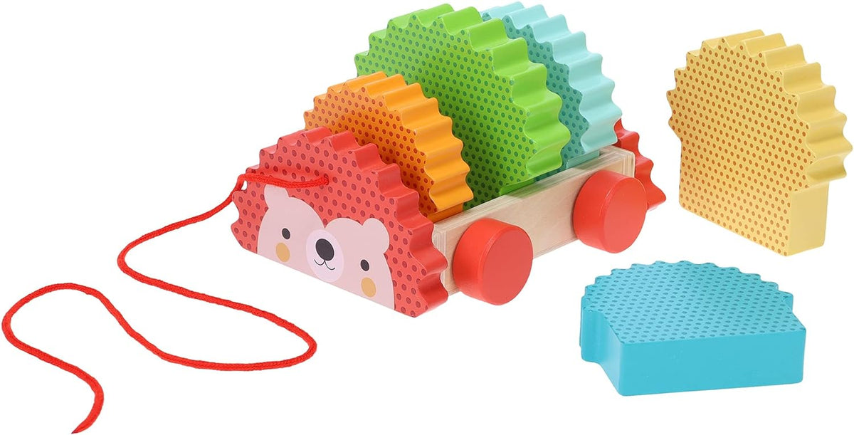 Wooden Pull Toy Rainbow Hedgehog