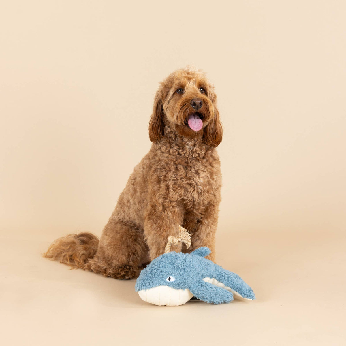 Earth Friend Dog Toy - Whale