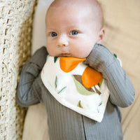 Double Sided Muslin Bandana Bib 2-Pack