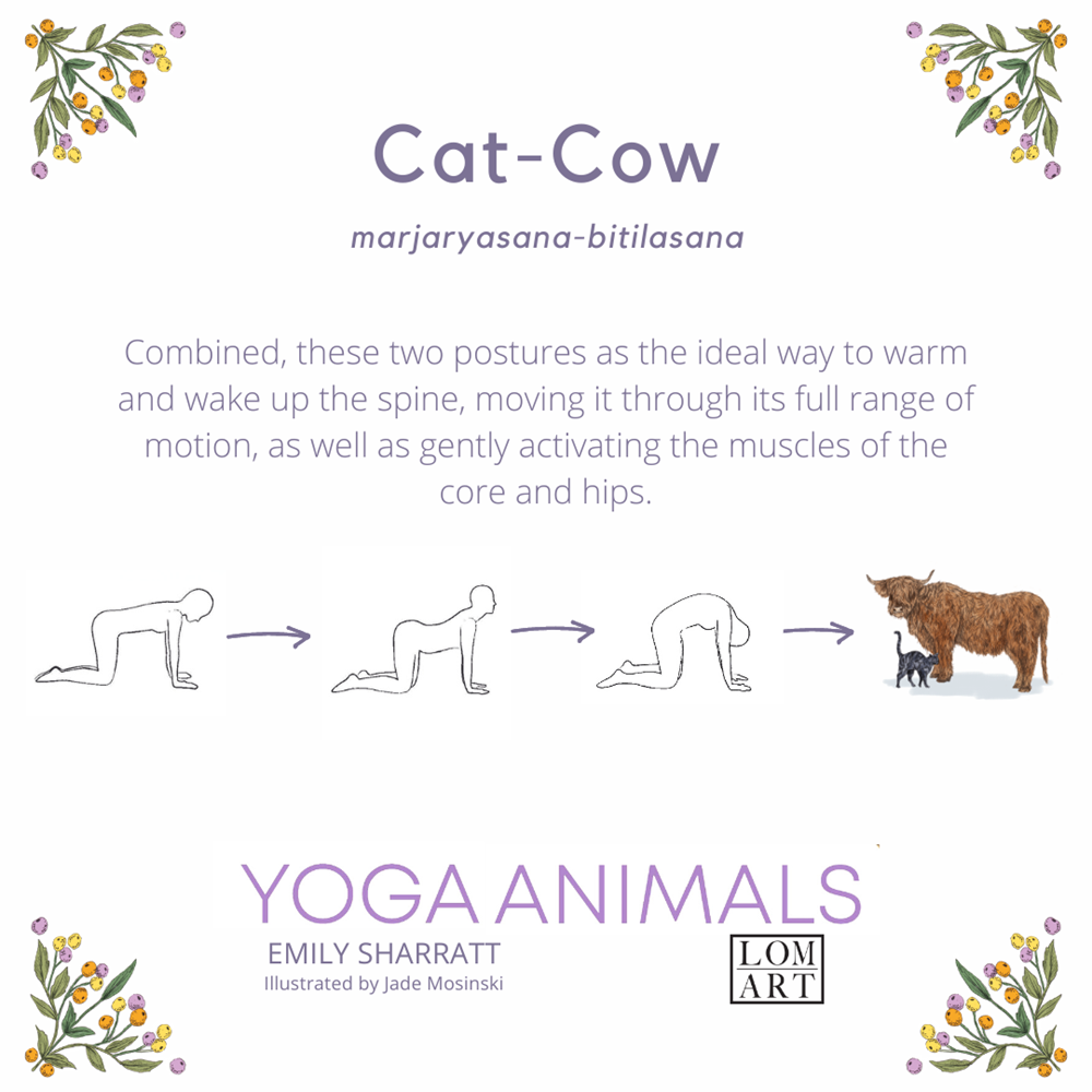 Yoga Animals Book