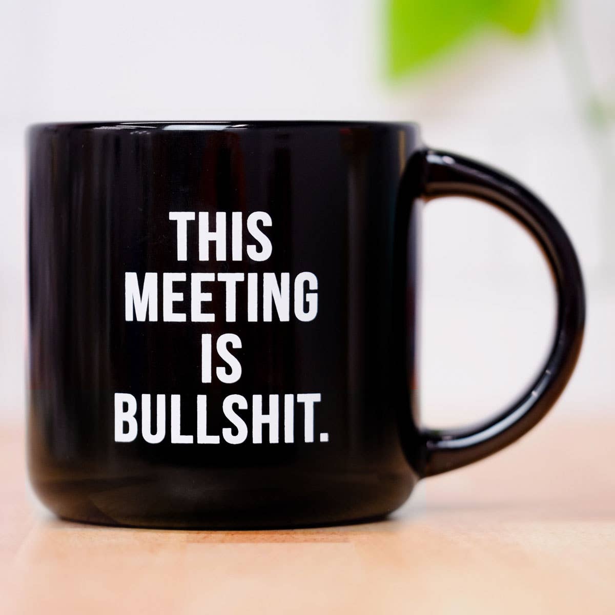 This meeting is bullshit. Ceramic Mug