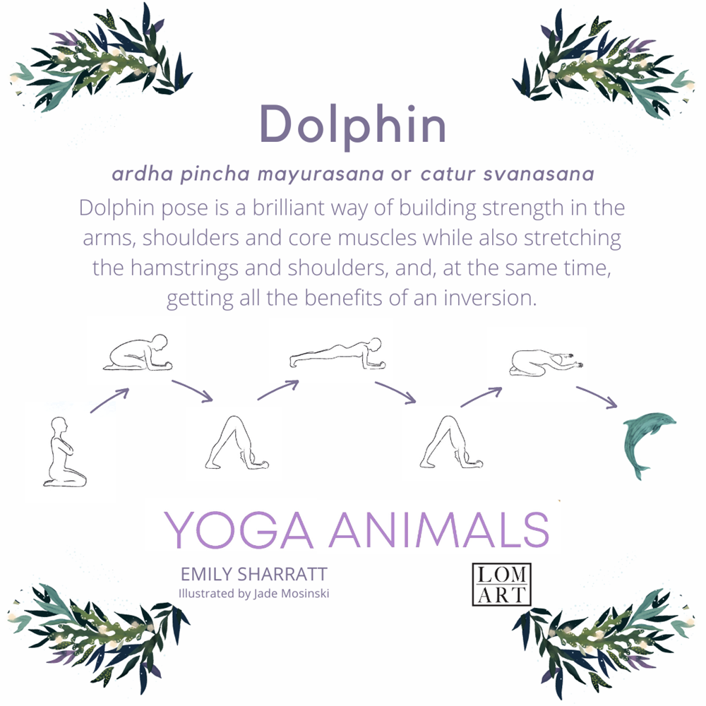 Yoga Animals Book